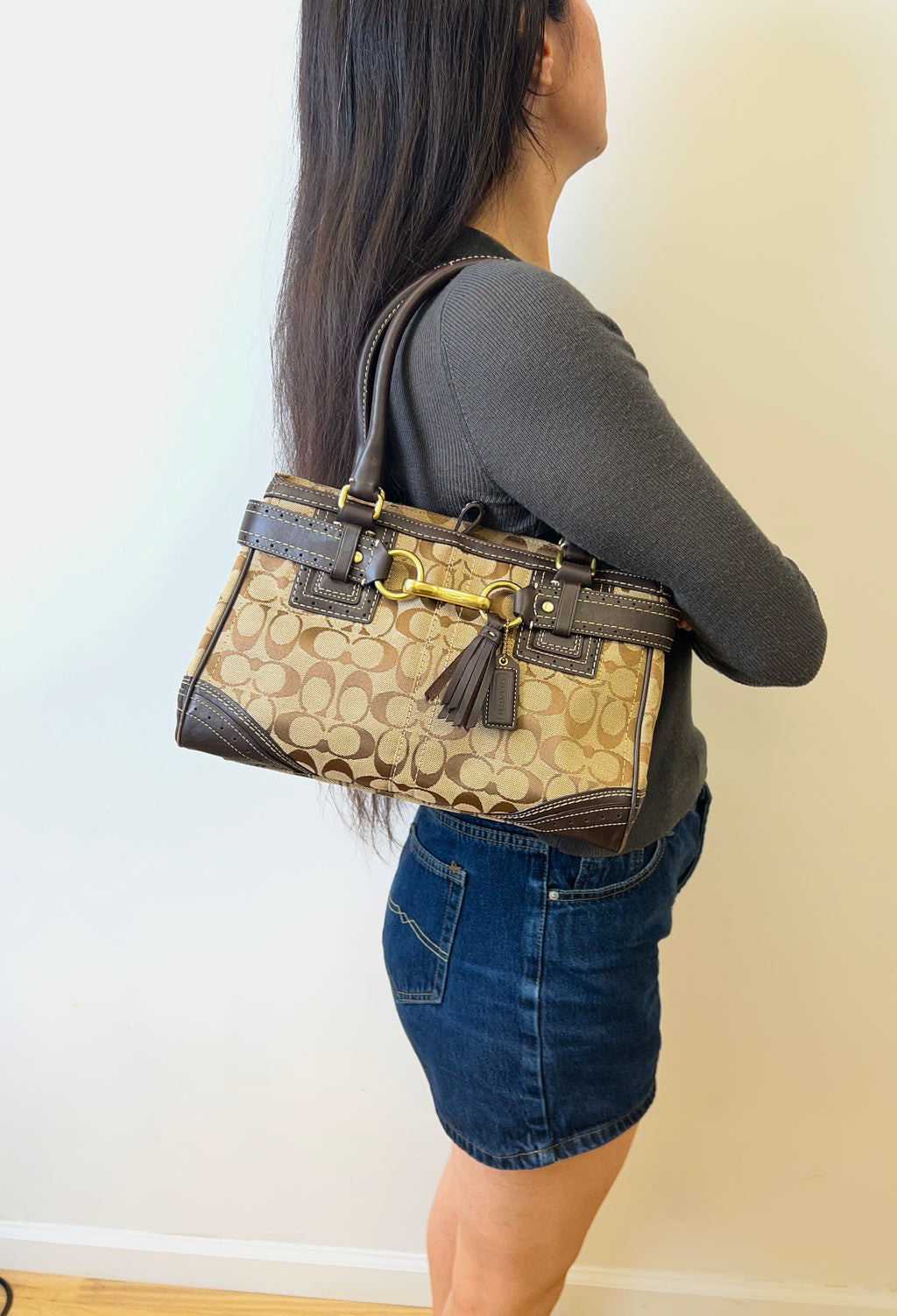 Coach Monogram Jacquard Bag